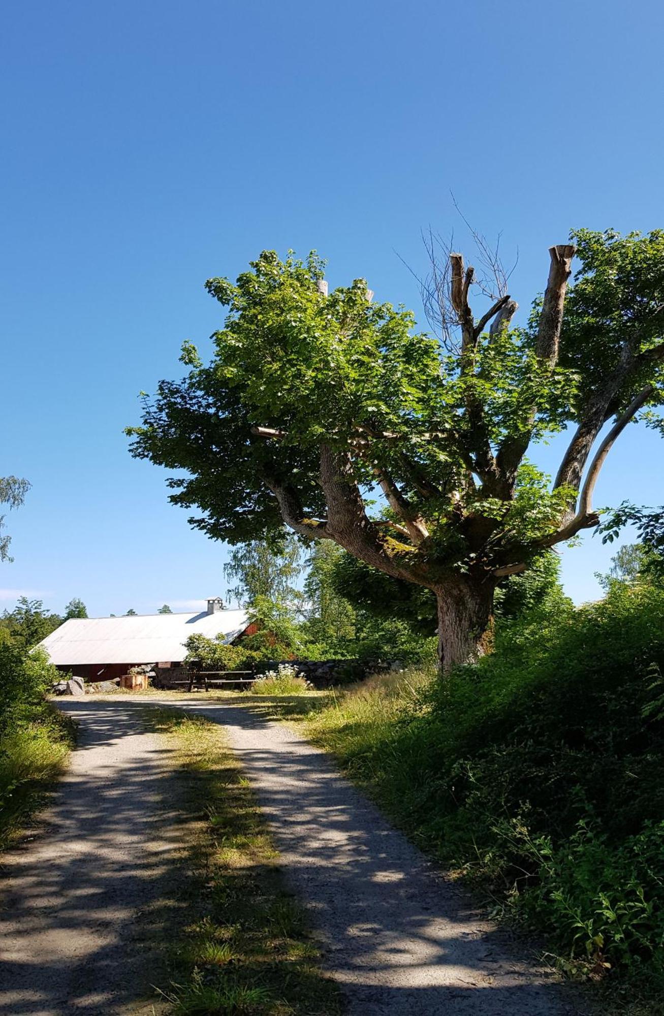 Stroenhult Farmhouse By The Lake Stronhult Ngoại thất bức ảnh